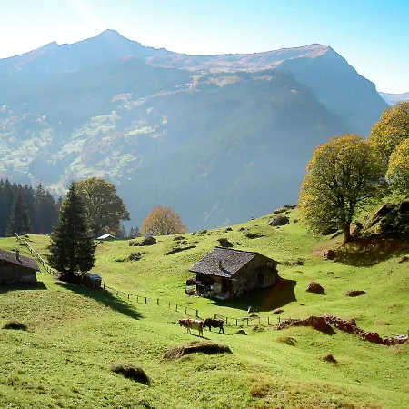 Abendrot Apartments-14 By Interhome Apartament Grindelwald