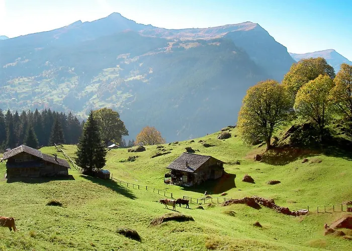 Abendrot Apartments-14 By Interhome Appartement Grindelwald